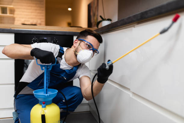Best Rat Extermination Near Me  in Liberty, IN