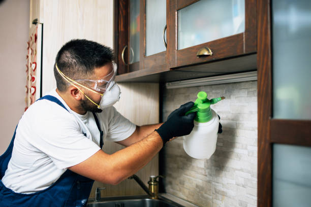 Professional Pest Control in Liberty, IN