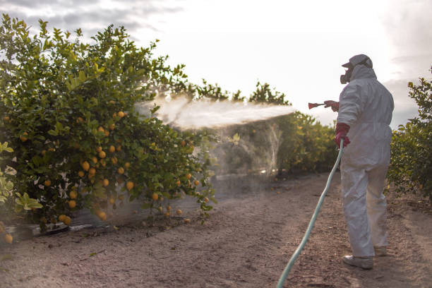 Best Pest Inspection Near Me  in Liberty, IN