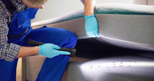 Best Affordable Pest Control Services  in Liberty, IN